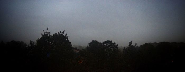 Low angle view of silhouette trees against sky
