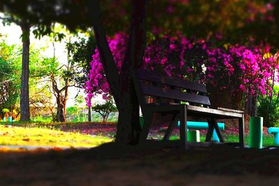 Pink flowers in park