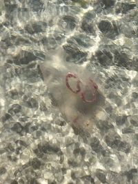 High angle view of swimming in sea