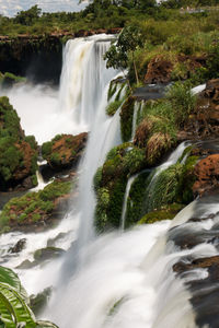 View of waterfall in forest