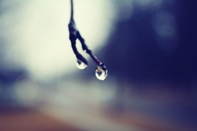 Close-up of water drop hanging in mid-air