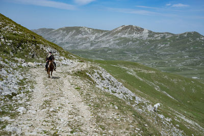 Man riding horse on mountain road