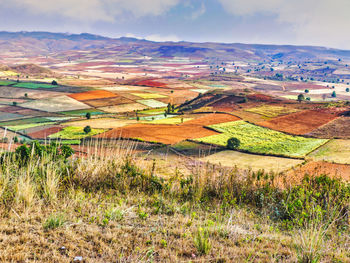 Scenic view of field against sky