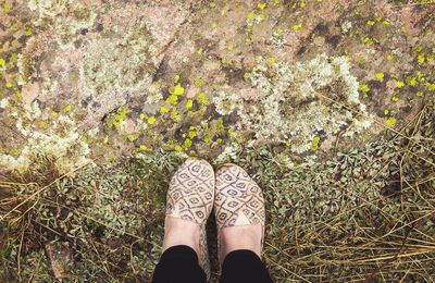 Low section of woman standing by funguses on rock