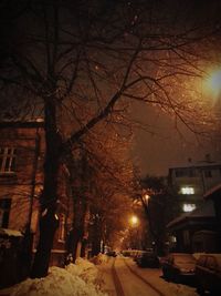 Snow covered road by trees in city at night