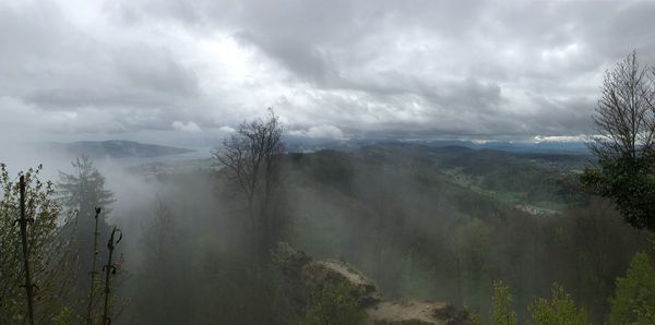 Panoramic shot of trees on landscape against sky