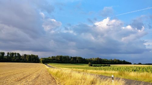Scenic view of agricultural field against sky
