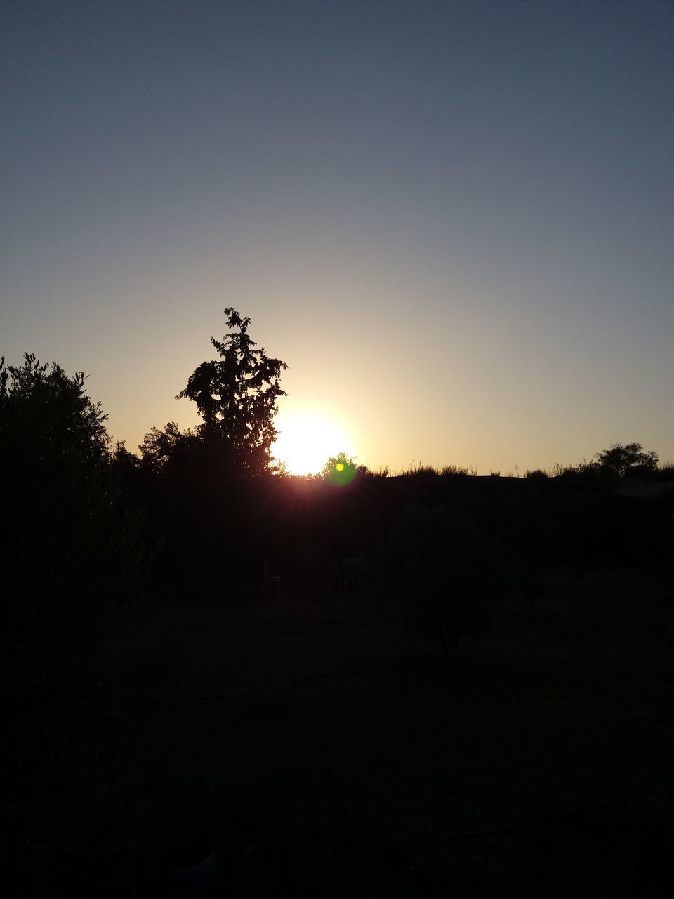 SCENIC VIEW OF SILHOUETTE FIELD AGAINST CLEAR SKY