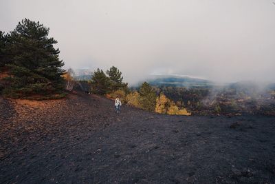 Scenic view of landscape against sky