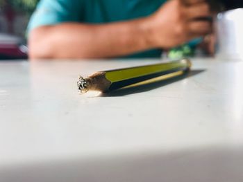 Close-up of insect on table