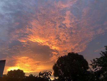 Low angle view of silhouette trees against dramatic sky