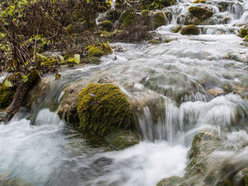 Scenic view of waterfall in forest