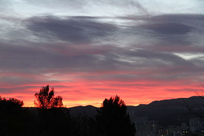 Silhouette trees against dramatic sky during sunset
