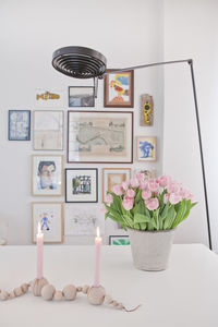 Flower pots on shelf at home