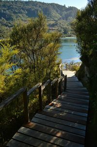 View of footbridge over lake