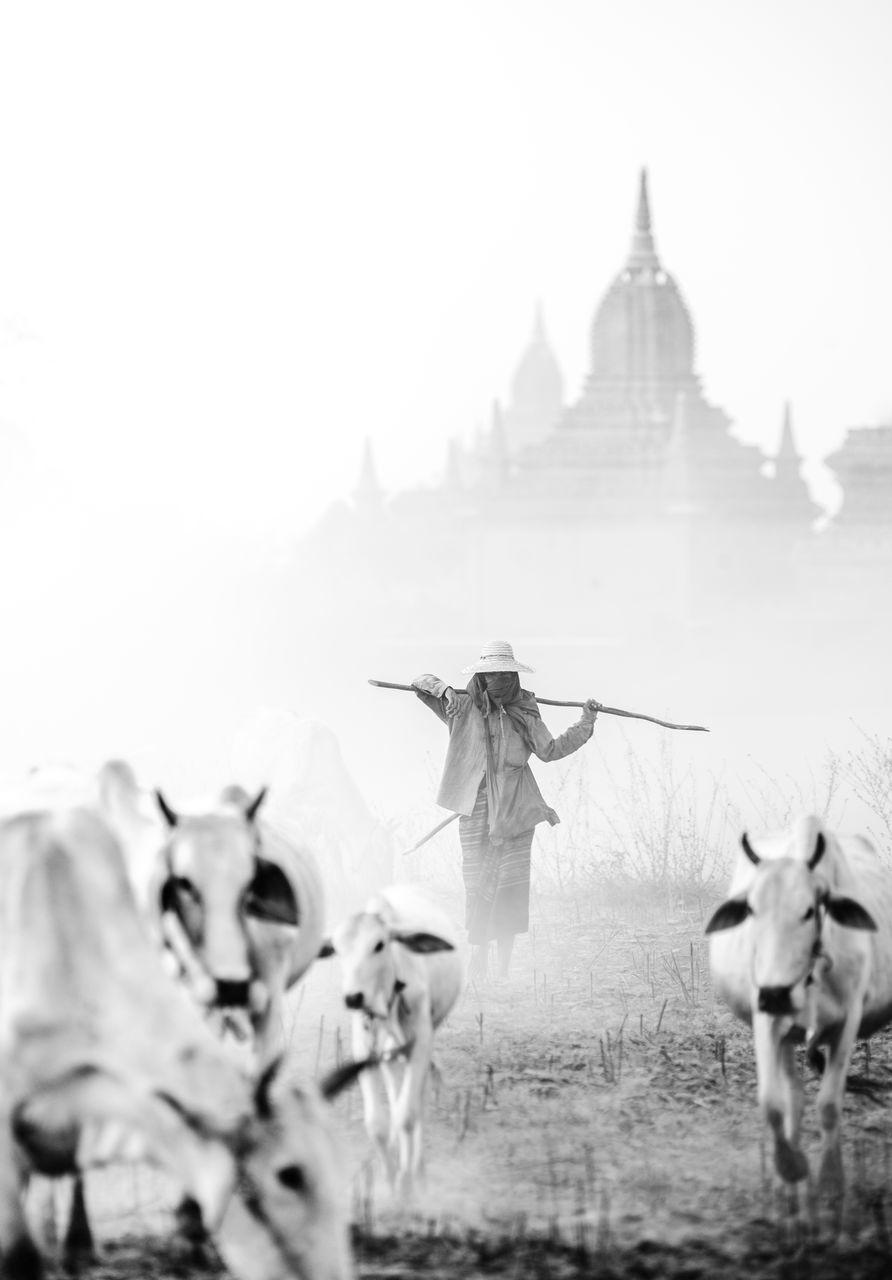 GROUP OF PEOPLE ON TEMPLE