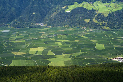 High angle view of agricultural field