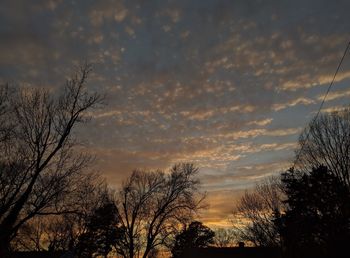 Low angle view of silhouette trees against sky at sunset