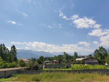 Trees and houses on field against sky