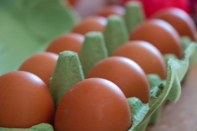 Close-up of multi colored tomatoes