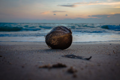 Plastic on the beach