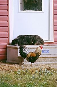 Built structure against the sky