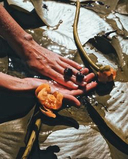 High angle view of man preparing food