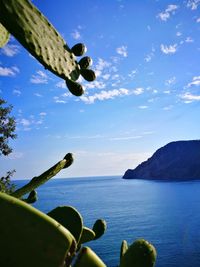 Scenic view of sea against blue sky