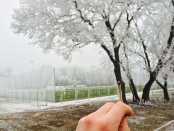 Close-up of hand against trees against sky