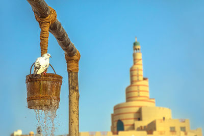 Low angle view of birds against clear blue sky