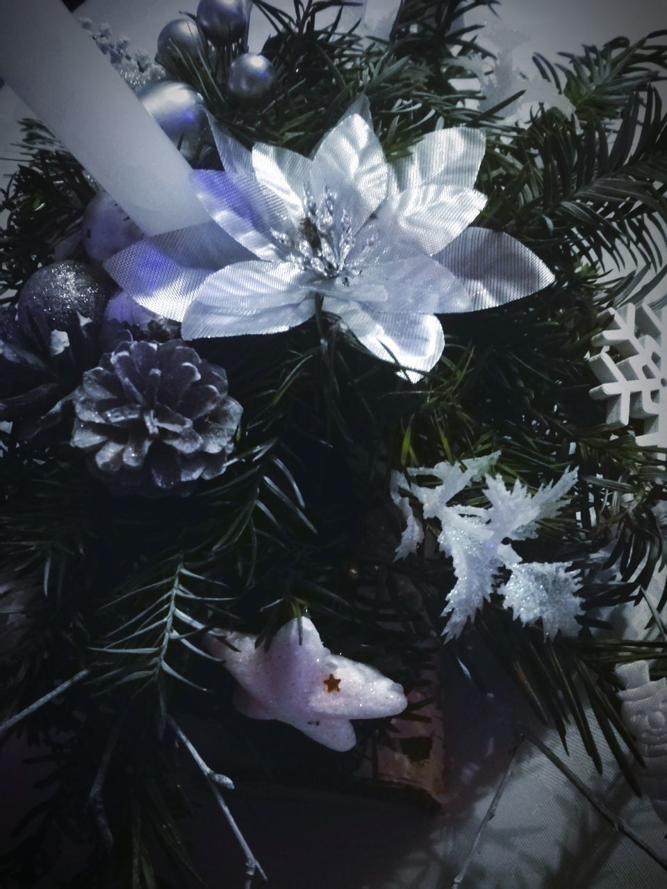 CLOSE-UP OF BIRD WITH FLOWERS