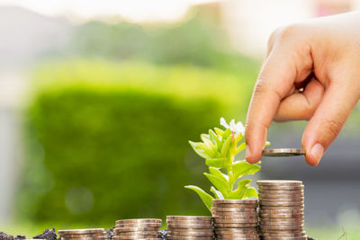 Cropped image of hand holding stack of plant