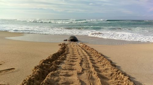 Scenic view of beach against sky