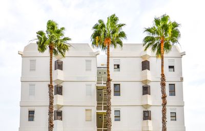 Palm trees against sky