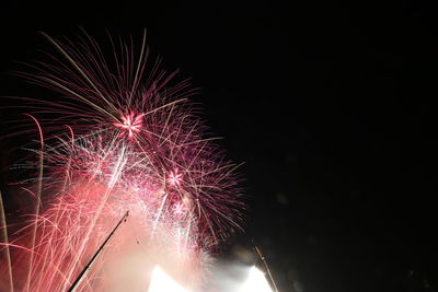 Low angle view of firework display at night