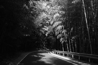 Road amidst trees in forest