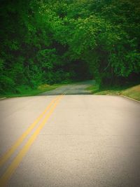 Road passing through trees