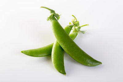 Close-up of green chili pepper against white background