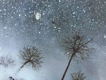 Low angle view of bare tree against sky during winter