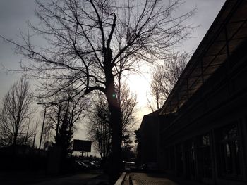 Road along buildings