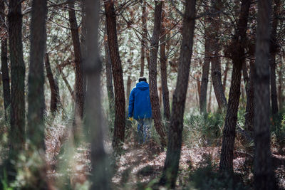 Rear view of man walking in forest