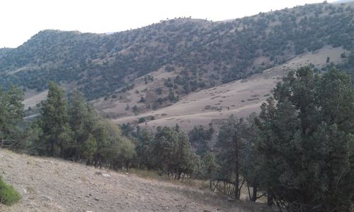 Scenic view of landscape and mountains