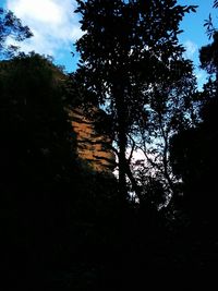 Low angle view of trees against sky