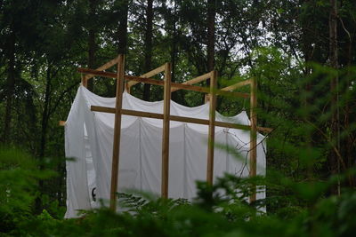 Clothes drying on clothesline in forest