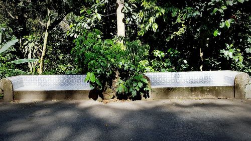 Close-up of text on tree