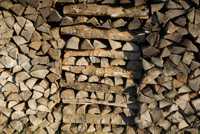 Split firewood is neatly stacked and drying in the sunlight. the supply for a long winter is safe