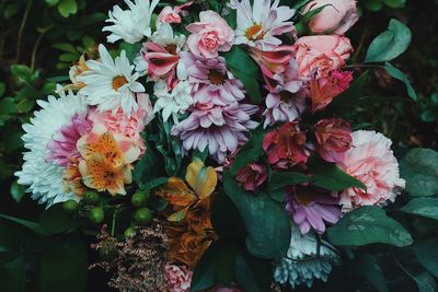 Close-up of flowers blooming outdoors