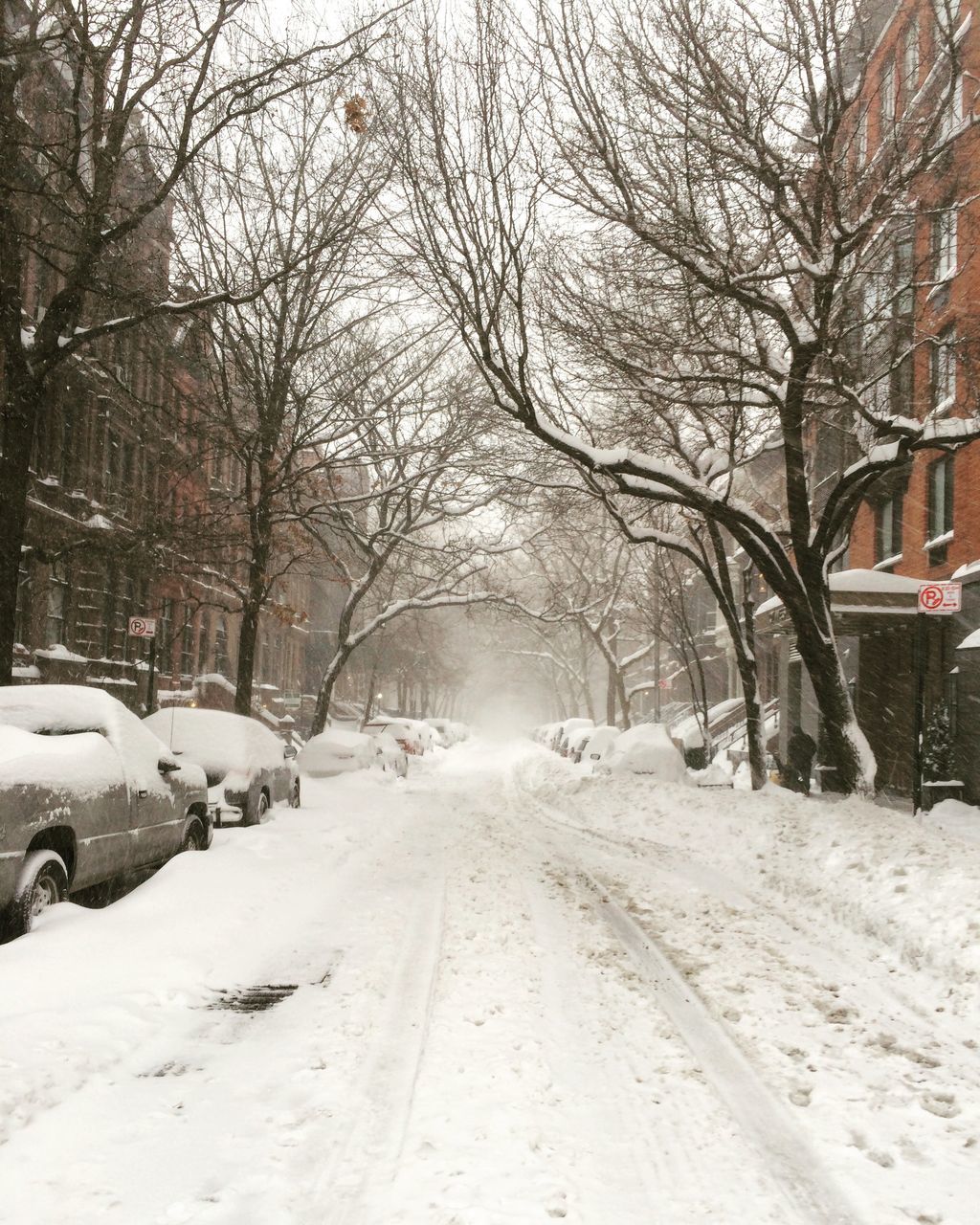 snow, winter, cold temperature, tree, transportation, bare tree, season, the way forward, weather, land vehicle, mode of transport, car, covering, street, road, diminishing perspective, built structure, architecture, building exterior, branch