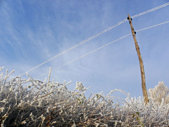 Low angle view of vapor trail against blue sky