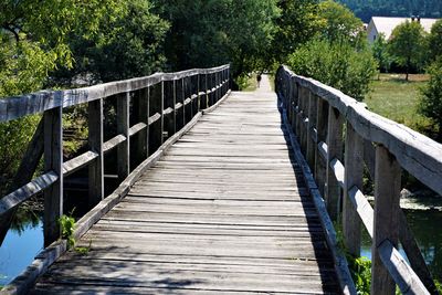 View of footbridge in forest